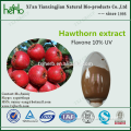 Hawthorn extract for anti-tumor , anti- AIDS virus medicine grade